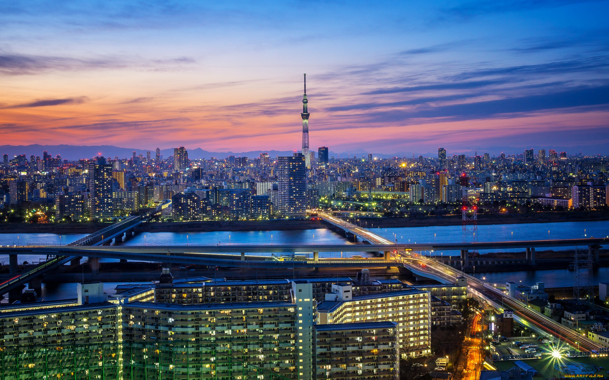 ,  , , , , , tokyo, 